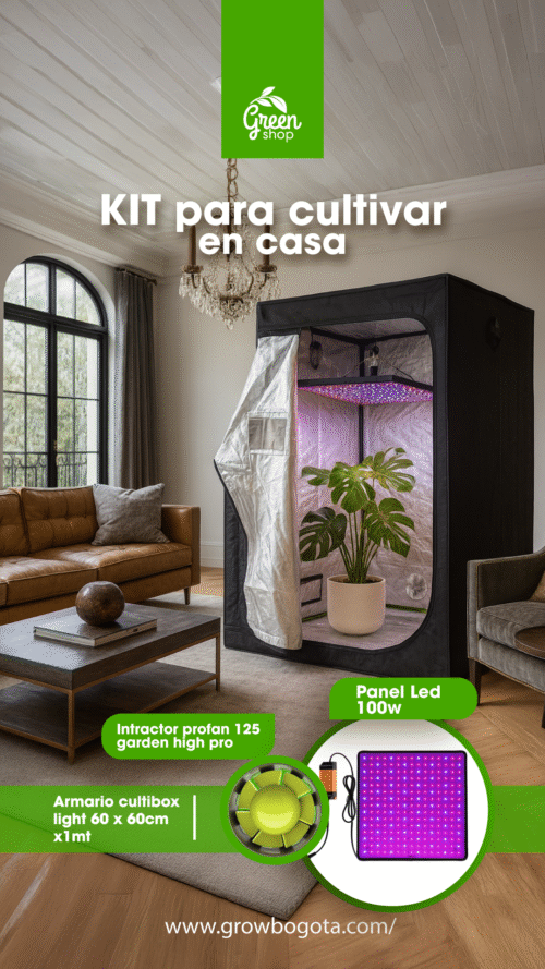Kit Indoor 1