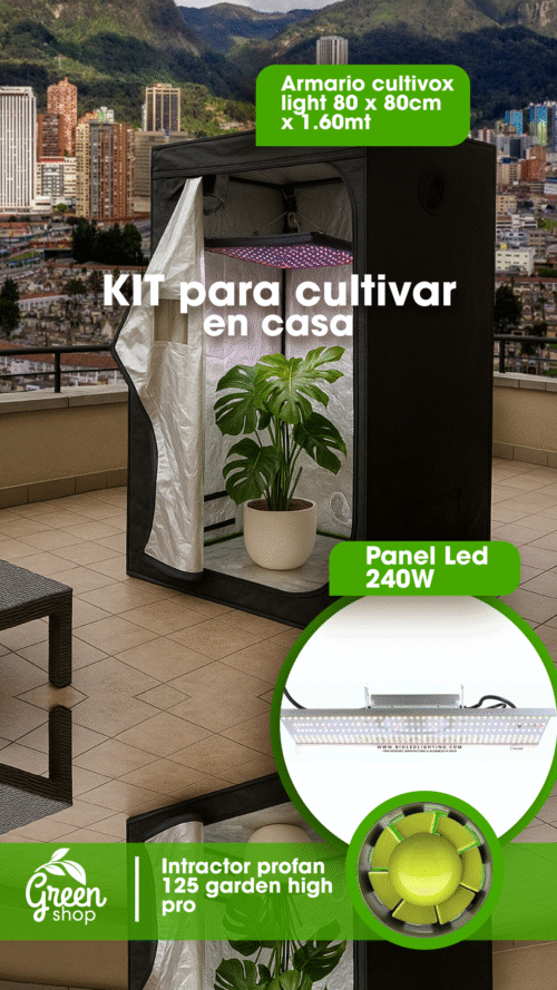 Kit Indoor 2