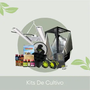 Kits de Cultivo