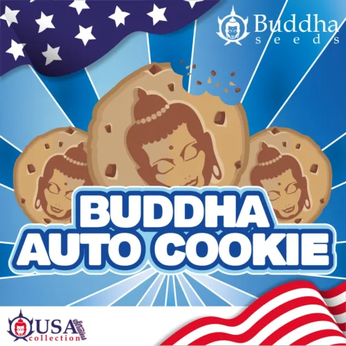 Buddha seeds Auto-Cookie