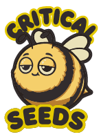Critical Seeds x5