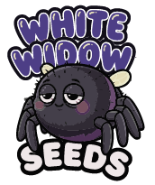 White Widow Seeds x5