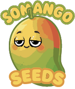 Somango Seeds x5